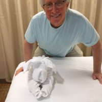 Puppy towel in cabin